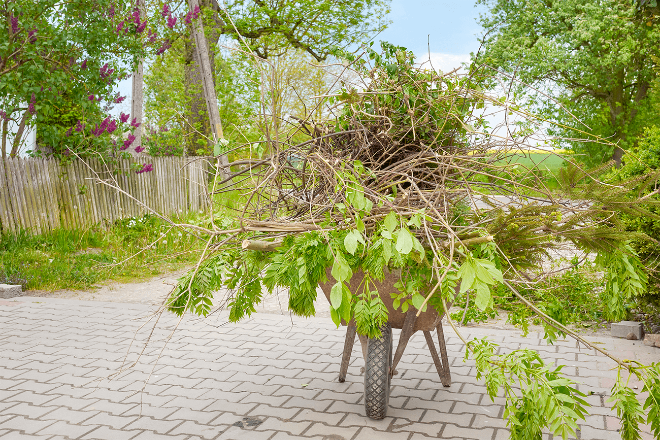 Ramassage de débris de jardin